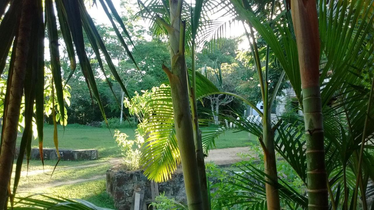 Fazenda Hotel Serra Da Copioba Santo Antonio de Jesus Exterior photo
